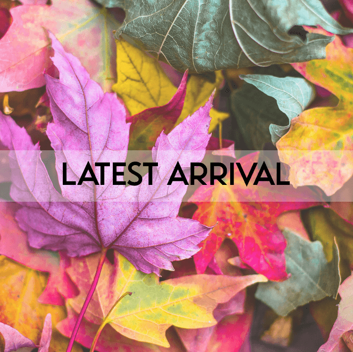 LATEST ARRIVALS FERRACINSHOP