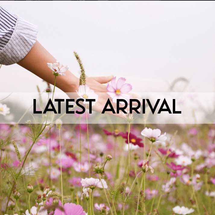 LATEST ARRIVALS FERRACINSHOP